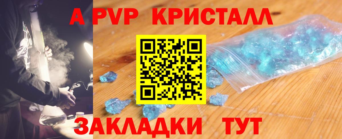 Alfa_PVP СК КРИС Коряжма