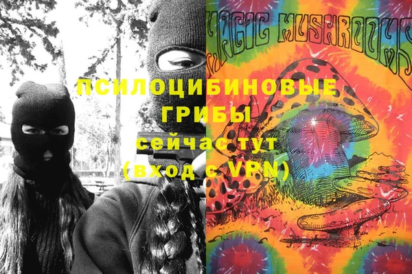 PSILOCYBIN Армянск