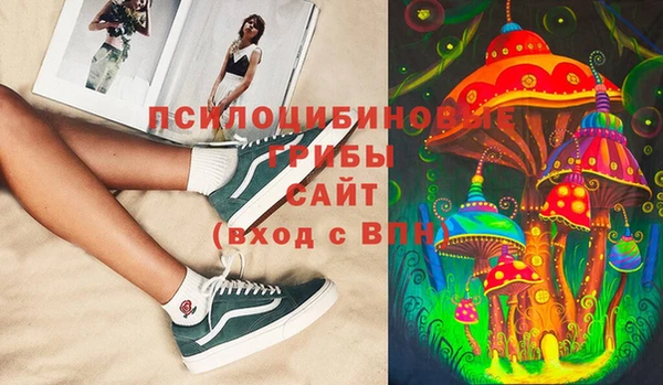 PSILOCYBIN Армянск
