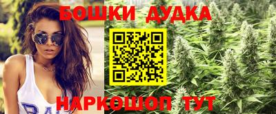 сатива Конаково