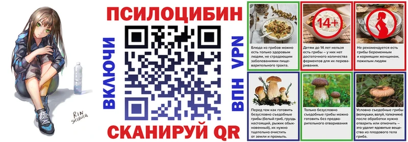 закладка  Коряжма  Псилоцибиновые грибы Psilocybine cubensis 