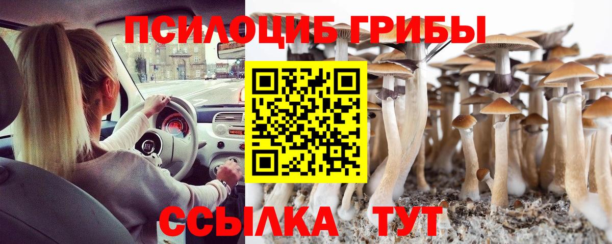 Коряжма  Псилоцибиновые грибы MAGIC MUSHROOMS  Вход с VPN 